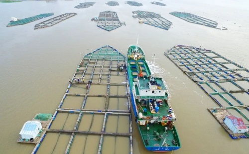 溫嶺市水產(chǎn)技術(shù)推廣站榮獲首批全國(guó)星級(jí)基層推廣機(jī)構(gòu)稱(chēng)號(hào)